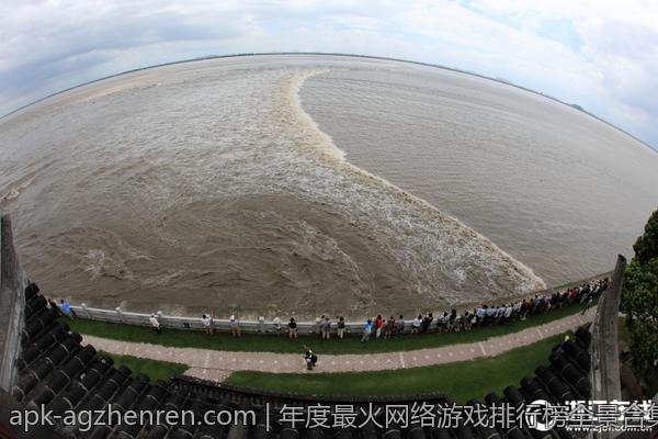 福利彩票双色球最新中奖号码专家预测与选号建议