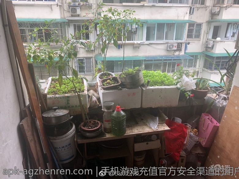 手机游戏充值官方安全渠道的用户评价与反馈分析